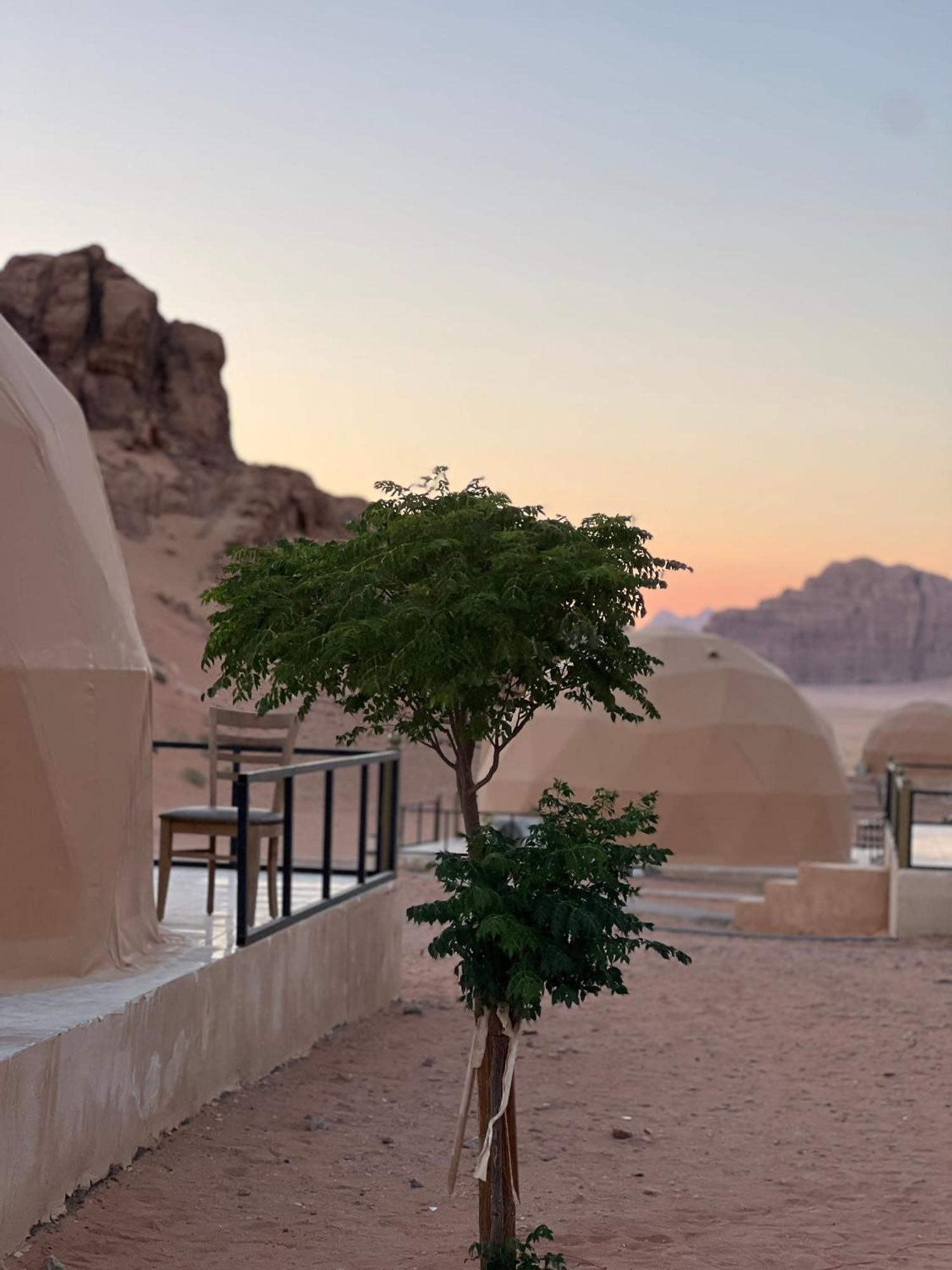 Appartement Magic Mountain Camp à Wadi Rum Extérieur photo